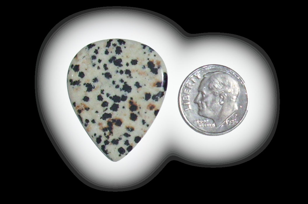 TD6117 Dalmatian Jasper