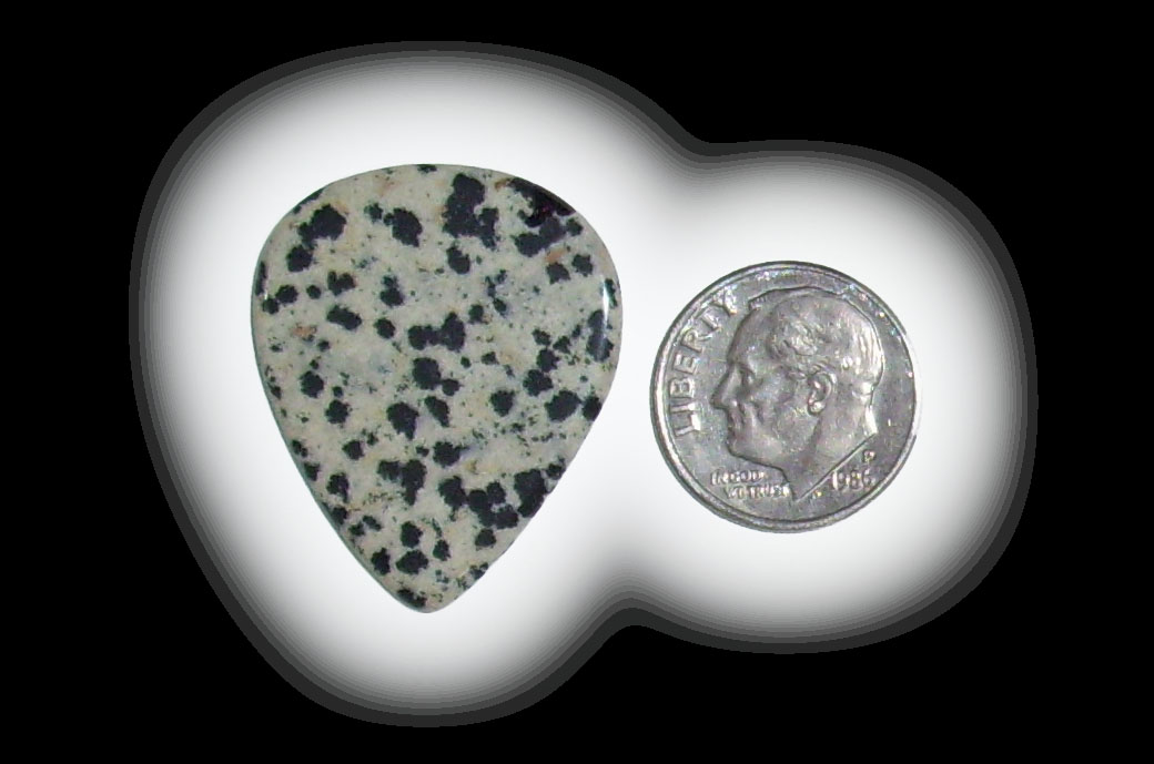 TD6118 Dalmatian Jasper