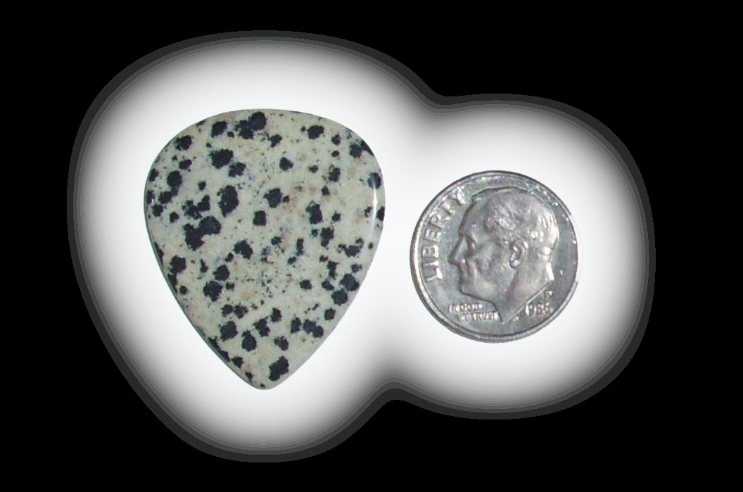 TD6119 Dalmatian Jasper