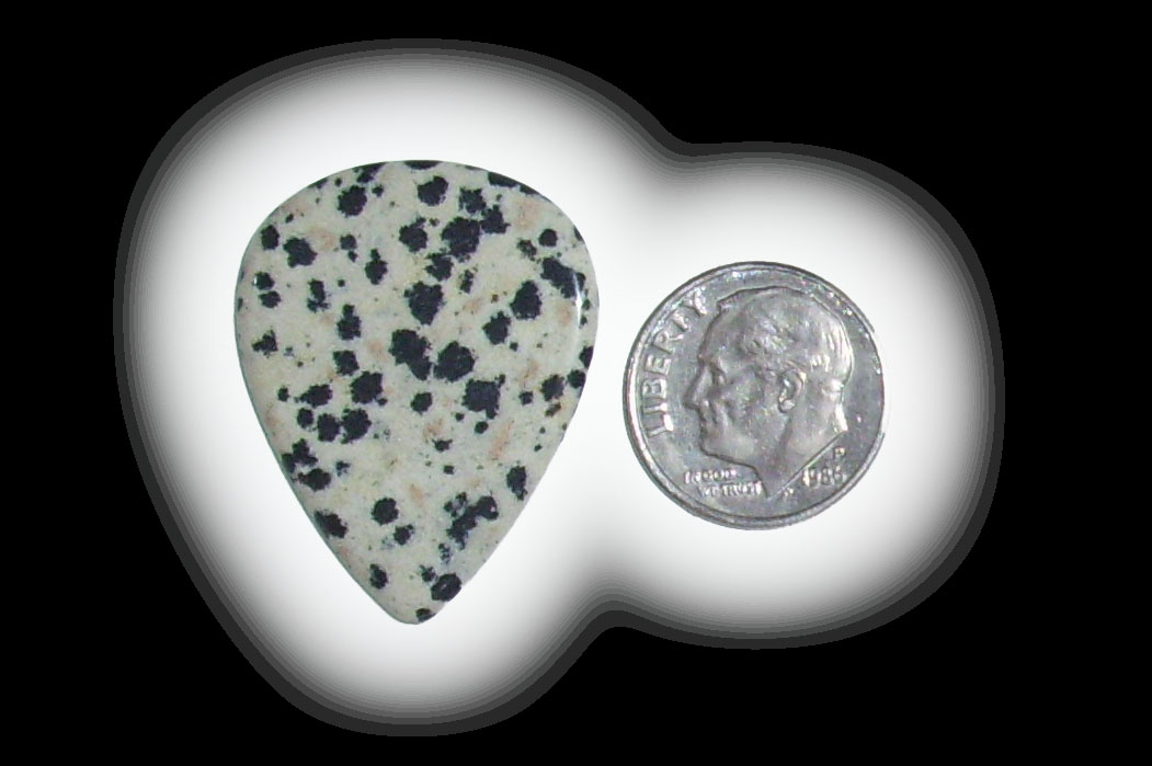 TD6120 Dalmatian Jasper