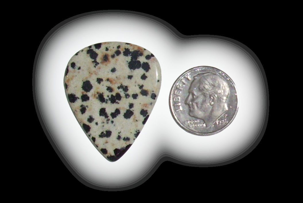 TD6121 Dalmatian Jasper