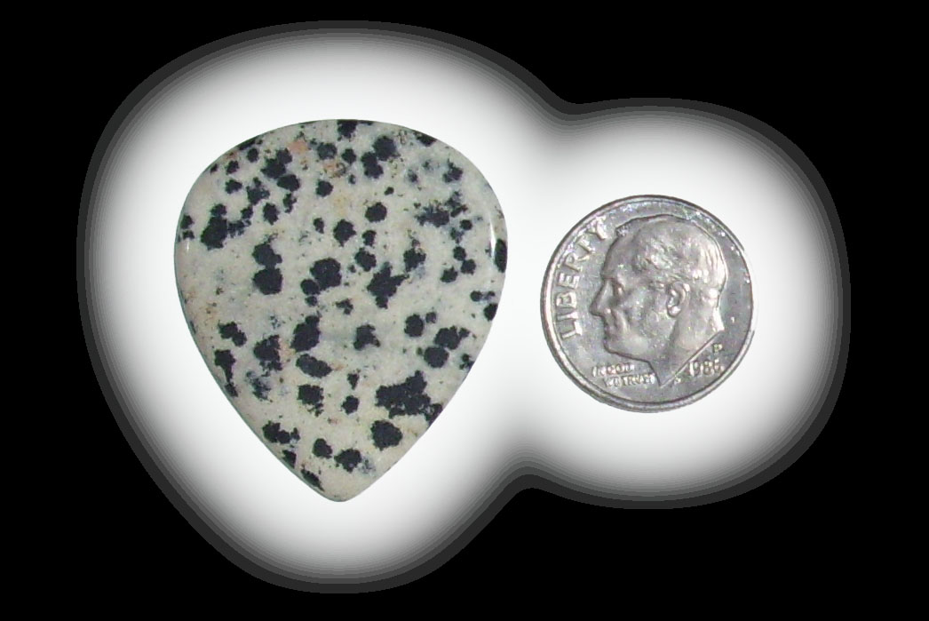 TD6122 Dalmatian Jasper