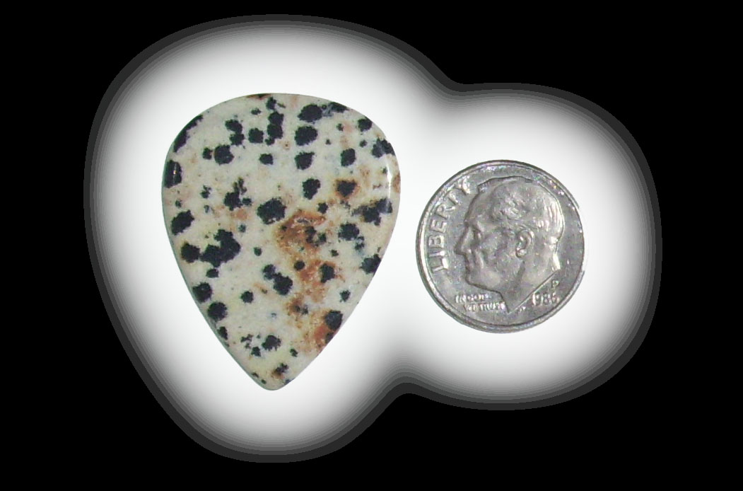 TD6123 Dalmatian Jasper