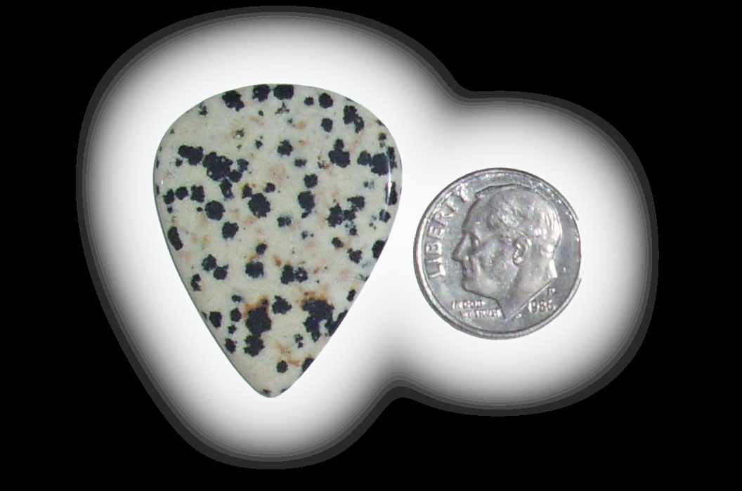 TD6126 Dalmatian Jasper