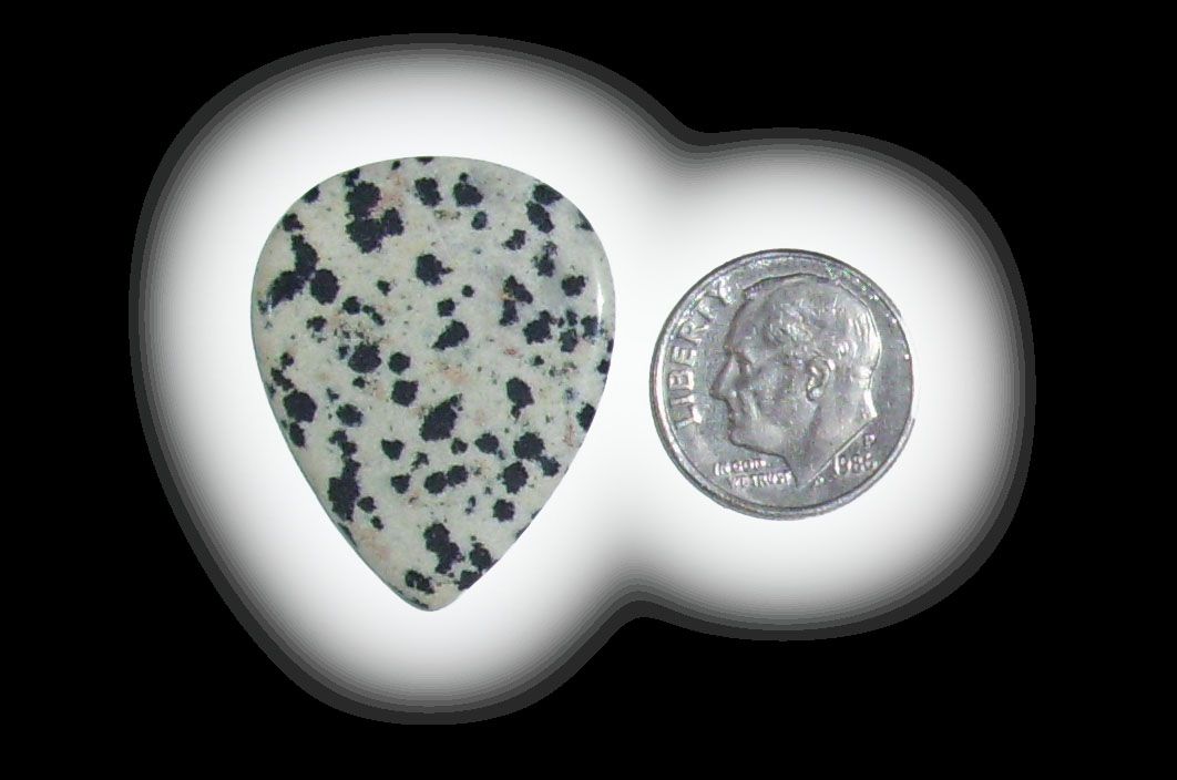 TD6127 Dalmatian Jasper