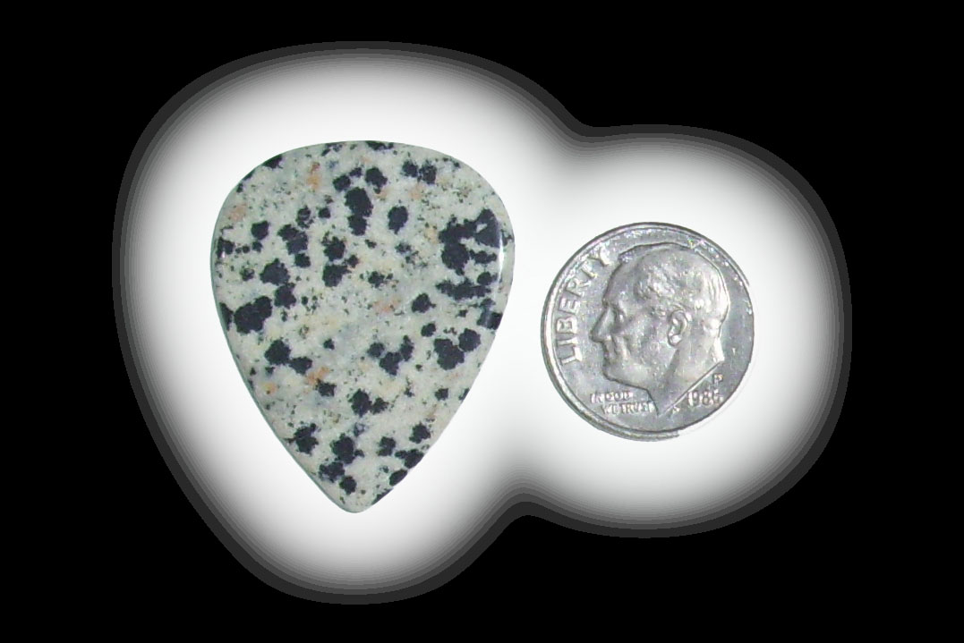 TD6128 Dalmatian Jasper