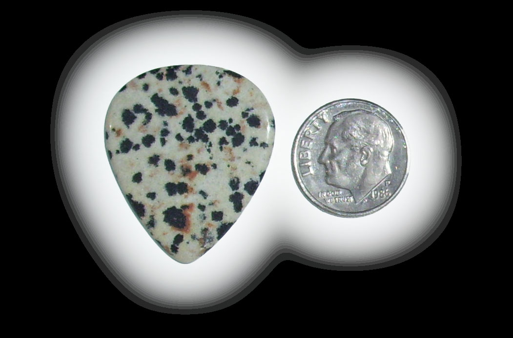 TD6130 Dalmatian Jasper