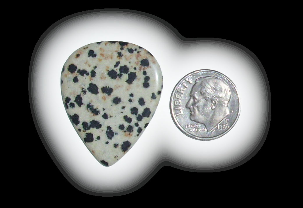 TD6131 Dalmatian Jasper