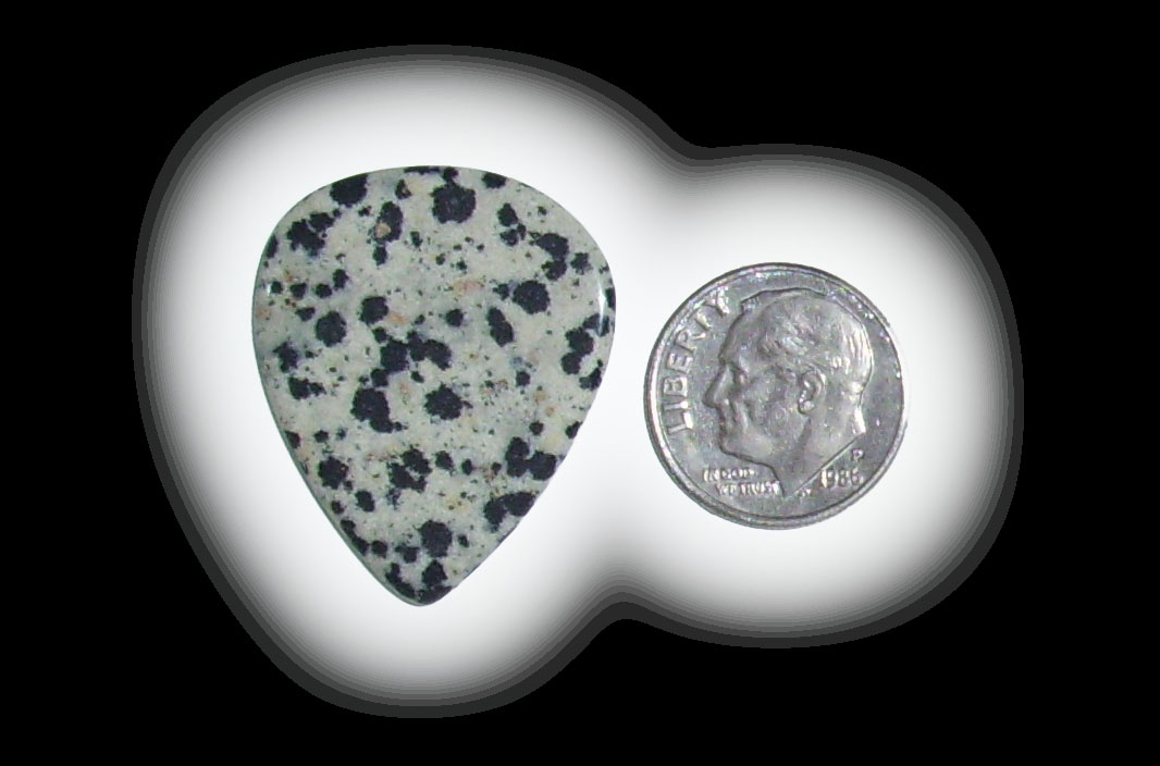 TD6132 Dalmatian Jasper