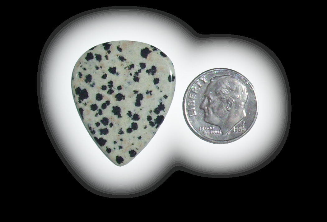 TD6135 Dalmatian Jasper