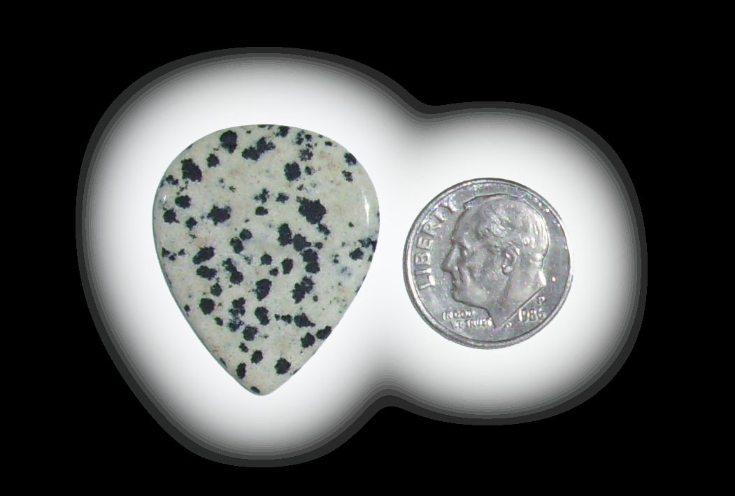 TD6136 Dalmatian Jasper