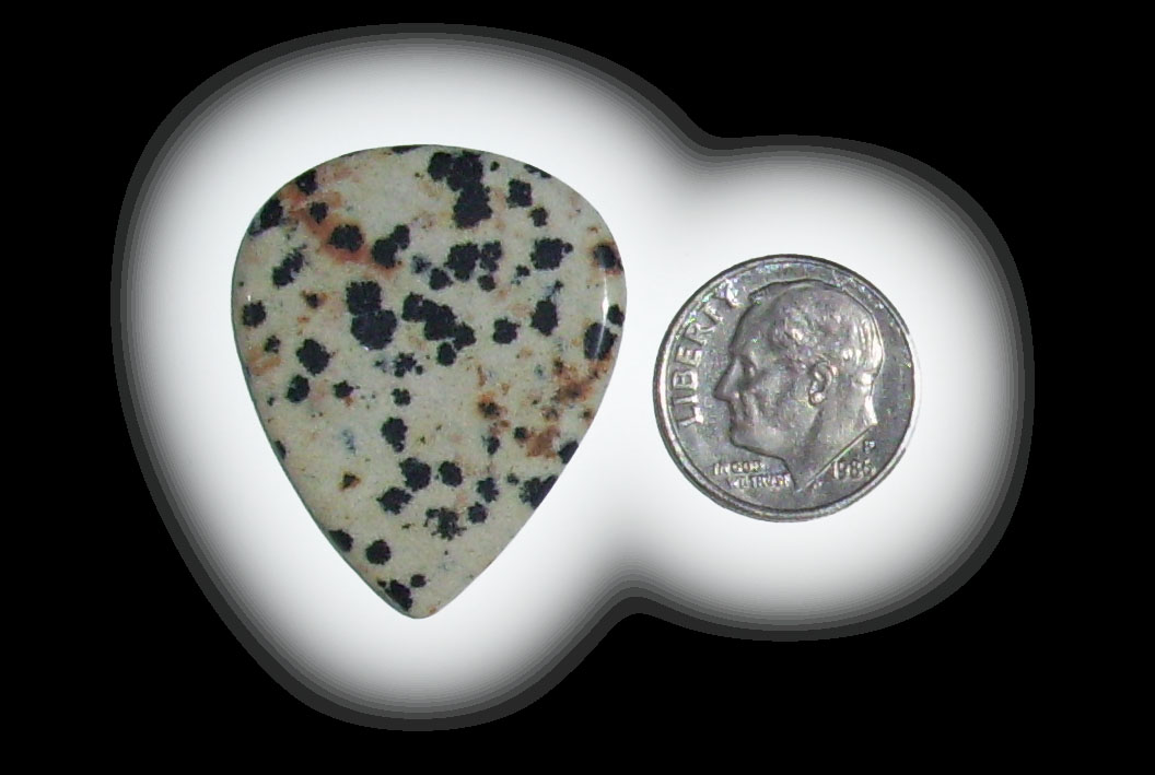 TD6138 Dalmatian Jasper