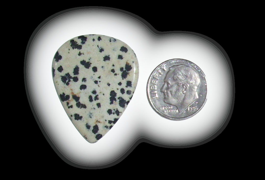 TD6142 Dalmatian Jasper