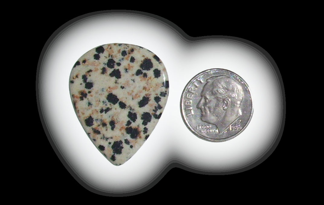 TD6146 Dalmatian Jasper