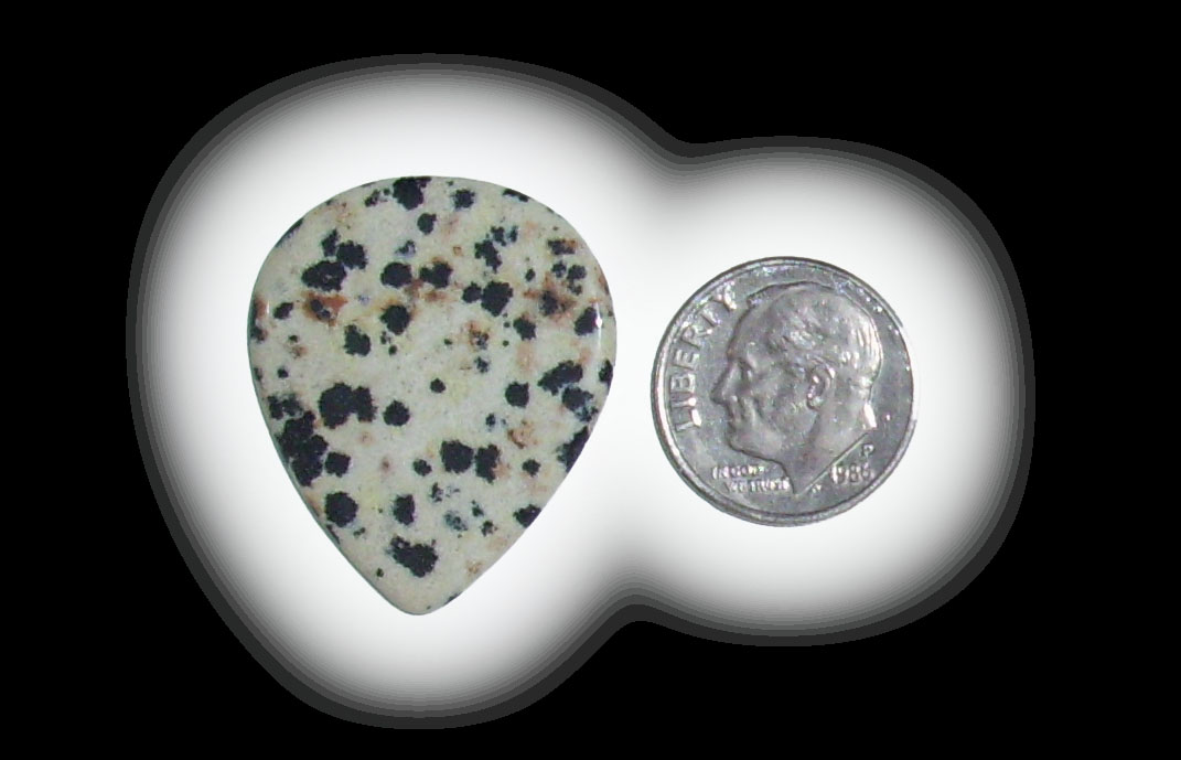 TD6147 Dalmatian Jasper