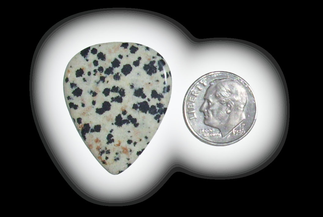 TD6150 Dalmatian Jasper