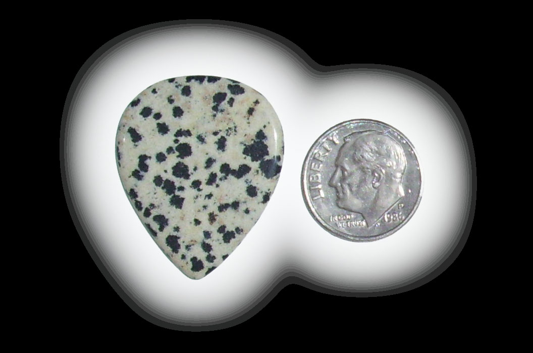 TD6152 Dalmatian Jasper