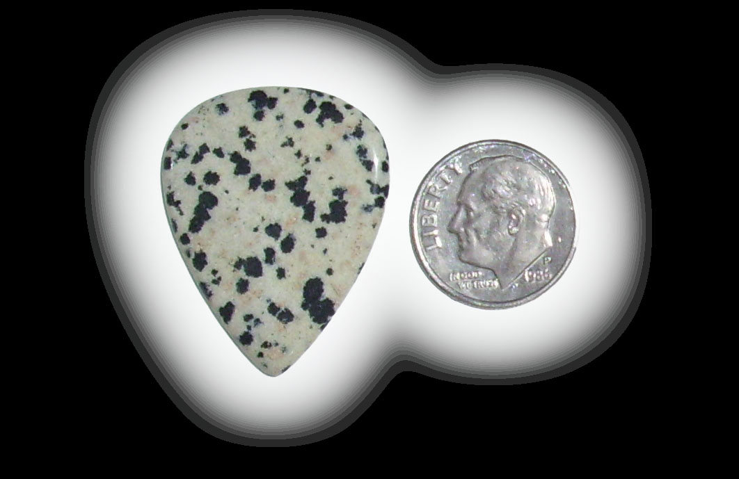 TD6156 Dalmatian Jasper