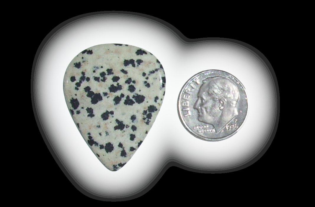 TD6157 Dalmatian Jasper