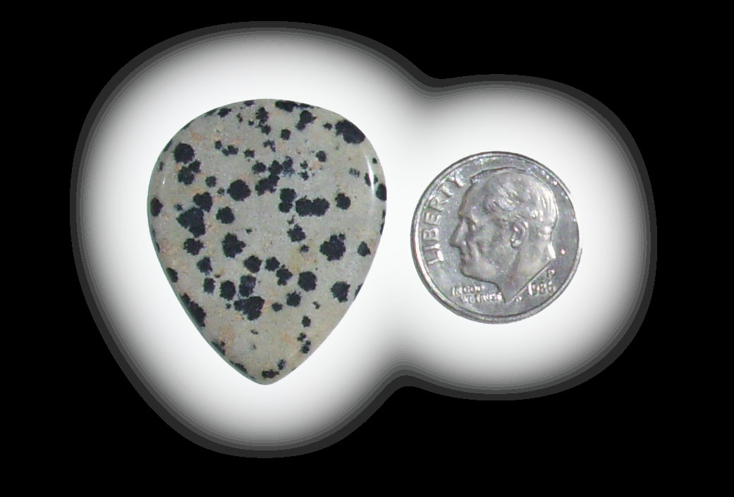 TD6158 Dalmatian Jasper