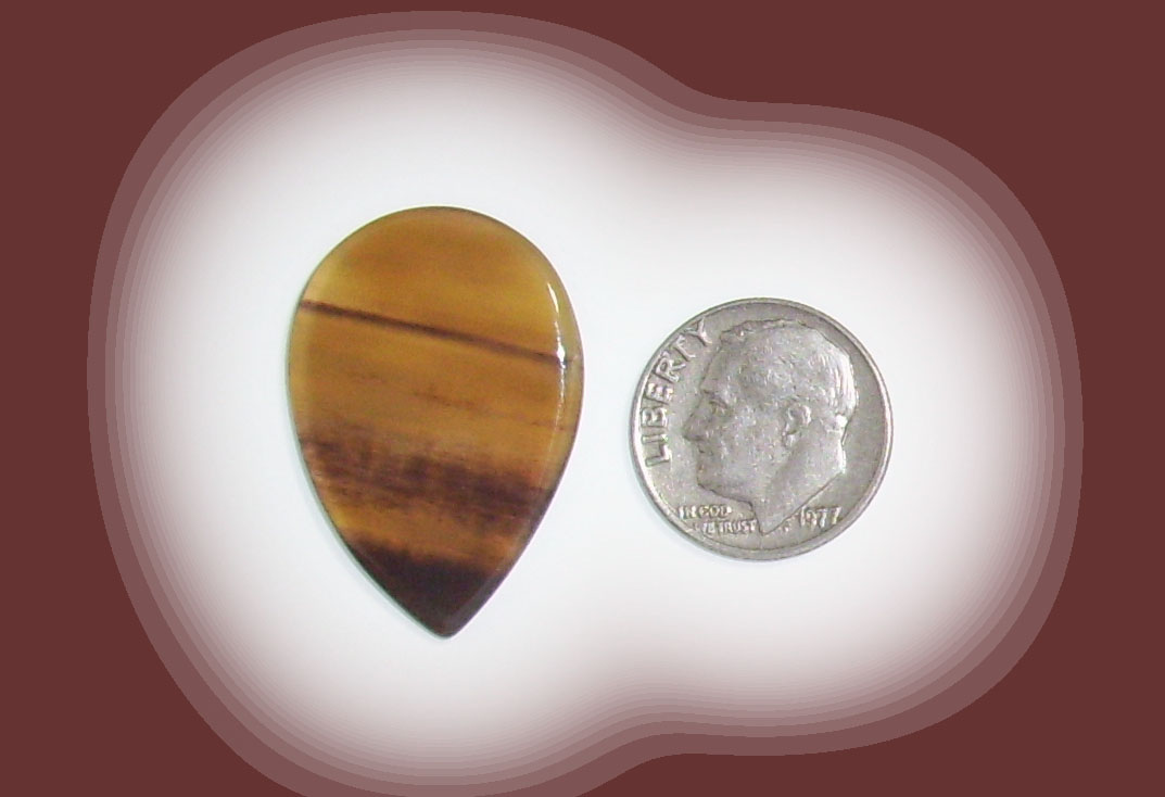 TR18123 Petrified Wood