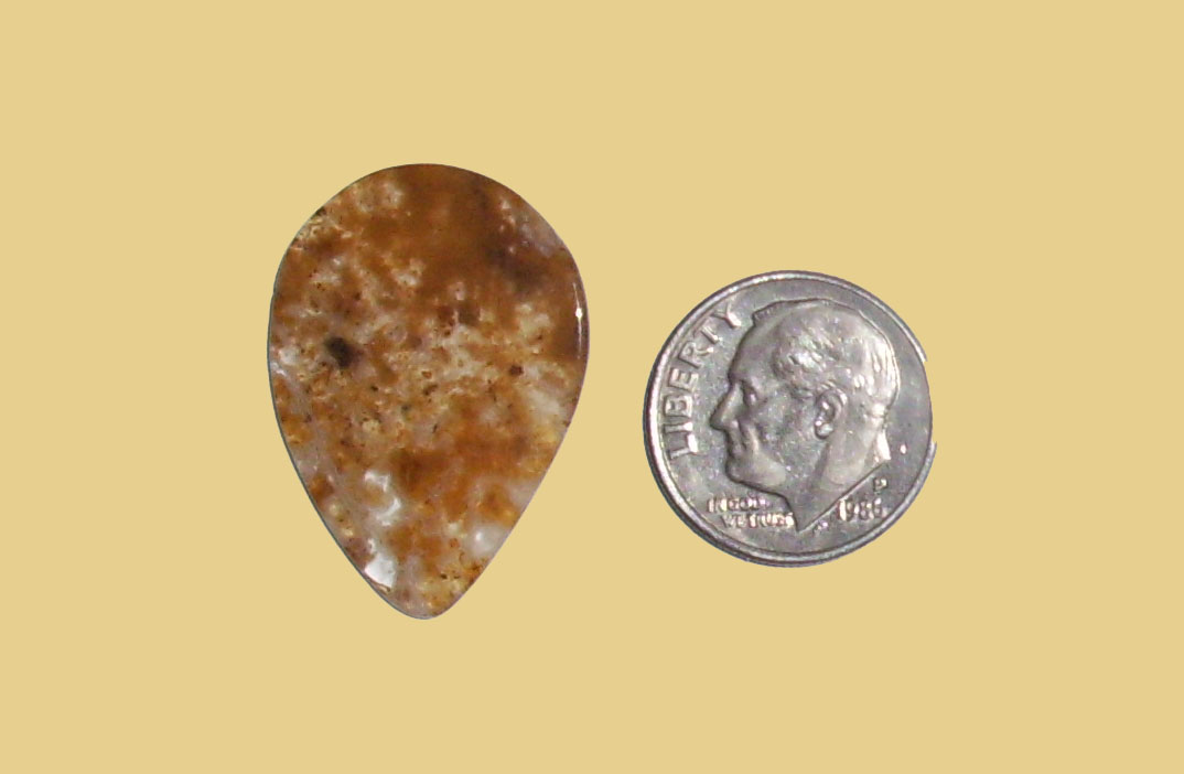 TR21021 Butterscotch Jasper