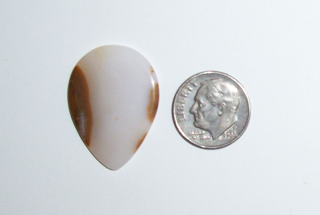 TR22026 Polka Dot Agate