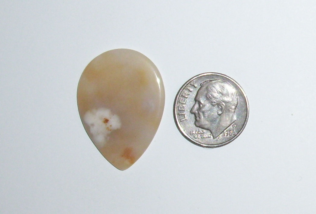 TR22037 Polka Dot Agate