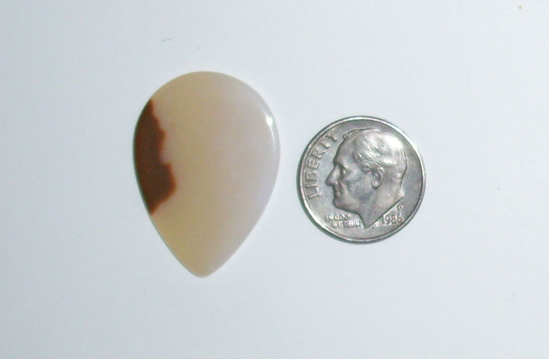 TR22040 Polka Dot Agate