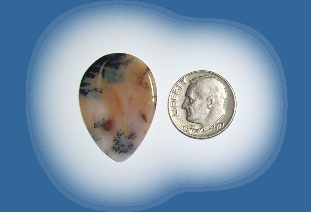 TR38001 Snake River Agate