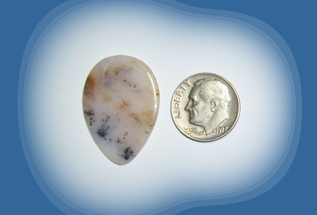 TR38019 Snake River Agate