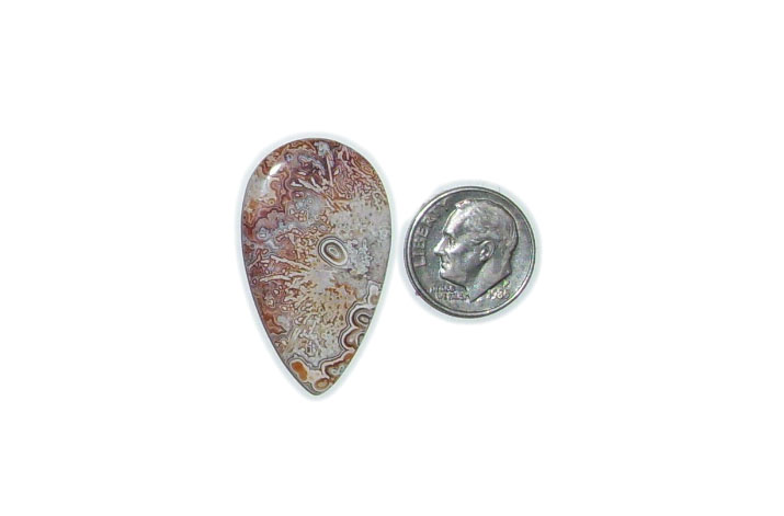 TR4111 Mexican Crazy Lace Agate