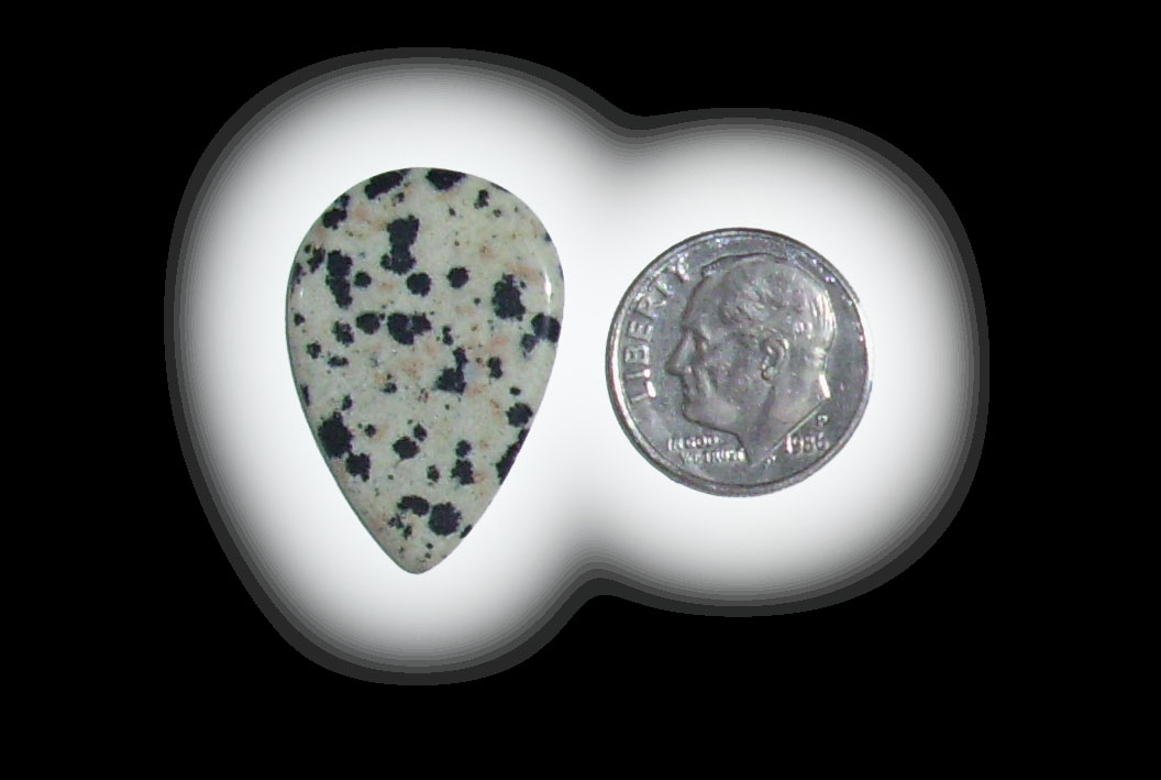 TR6101 Dalmatian Jasper