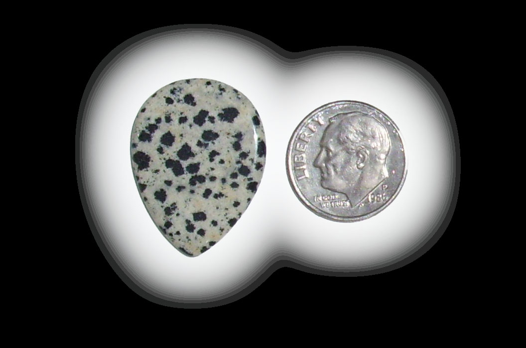 TR6102 Dalmatian Jasper