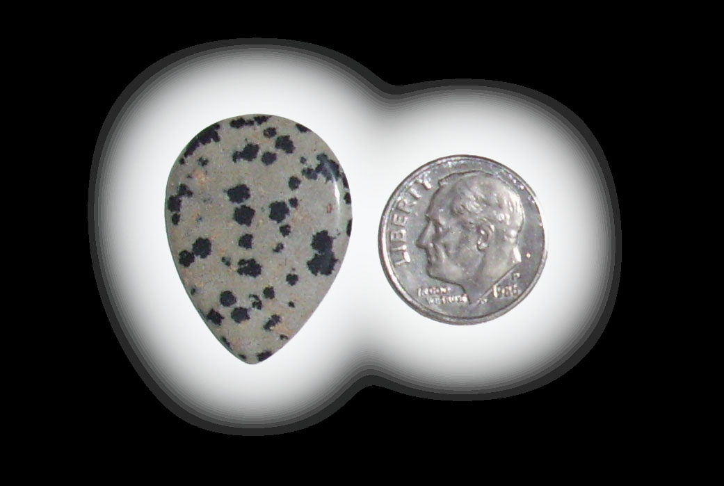 TR6103 Dalmatian Jasper