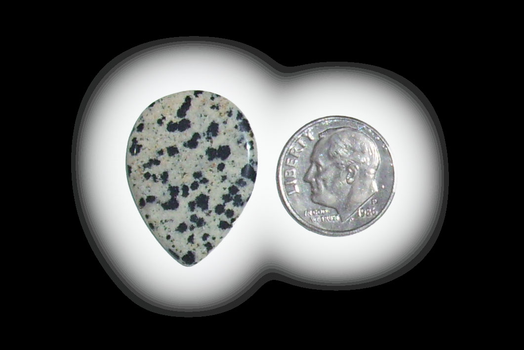 TR6104 Dalmatian Jasper