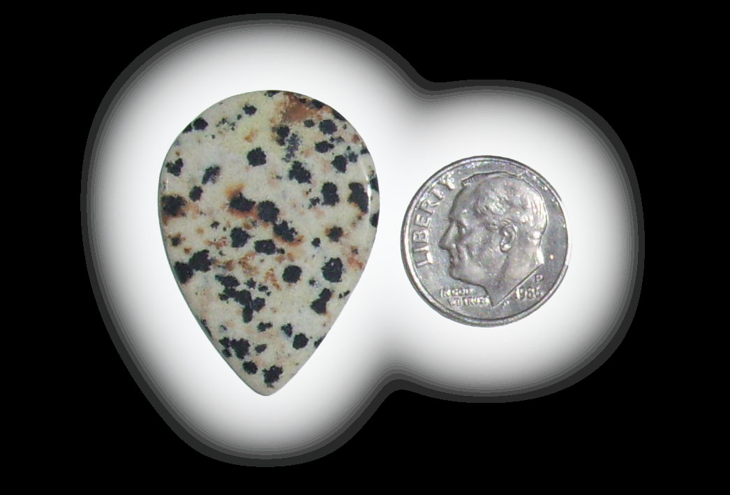 TR6106 Dalmatian Jasper