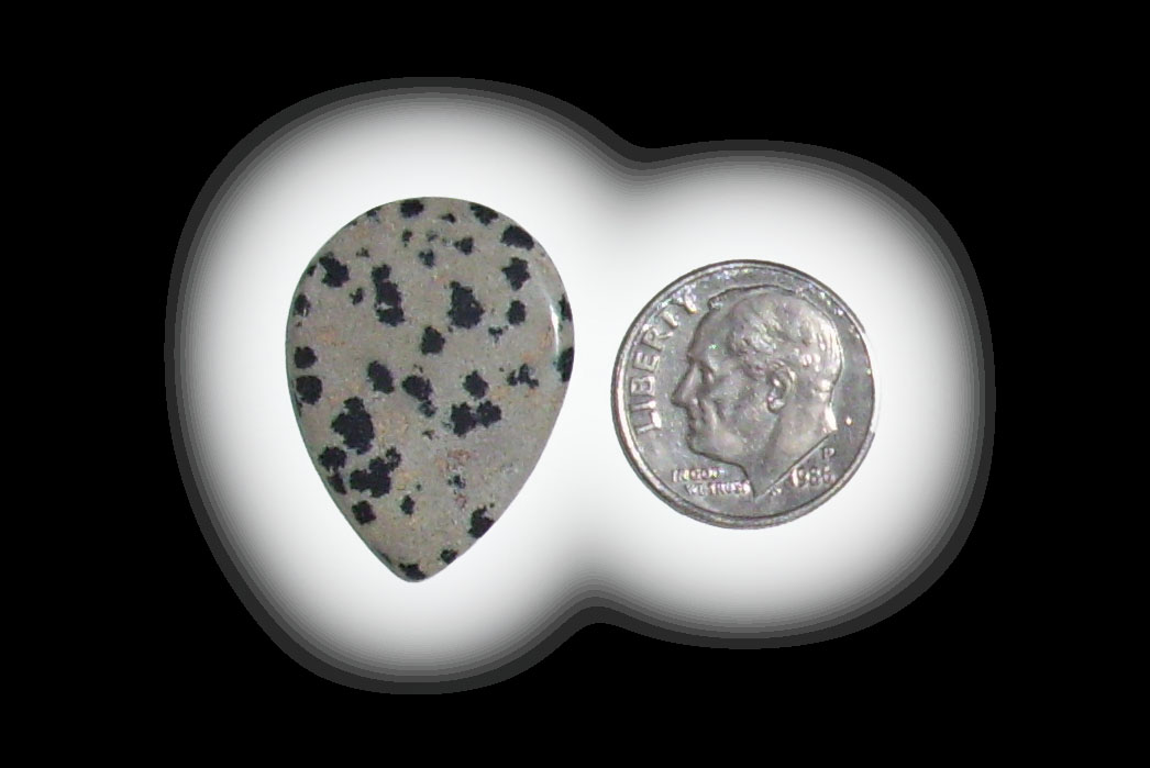 TR6107 Dalmatian Jasper