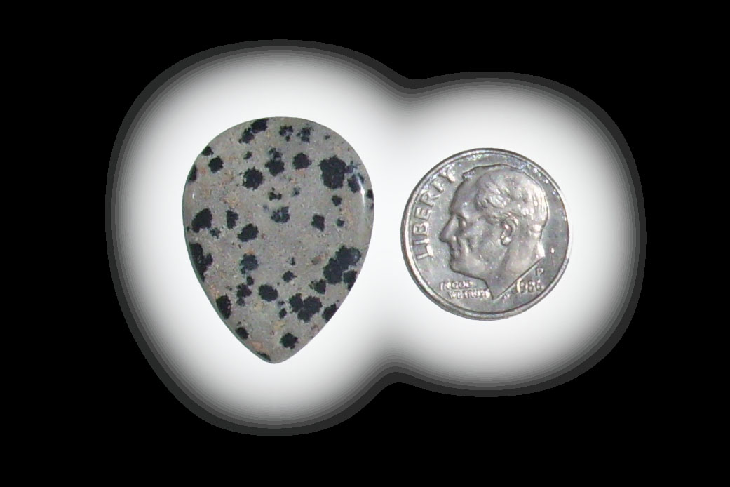 TR6108 Dalmatian Jasper