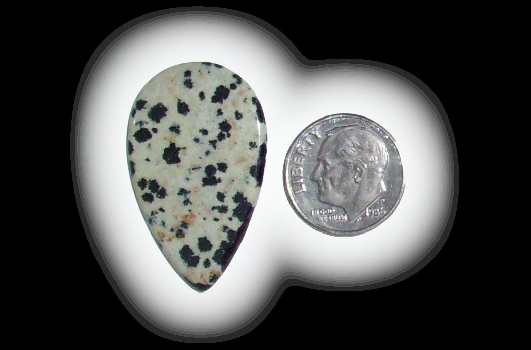 TR6109 Dalmatian Jasper