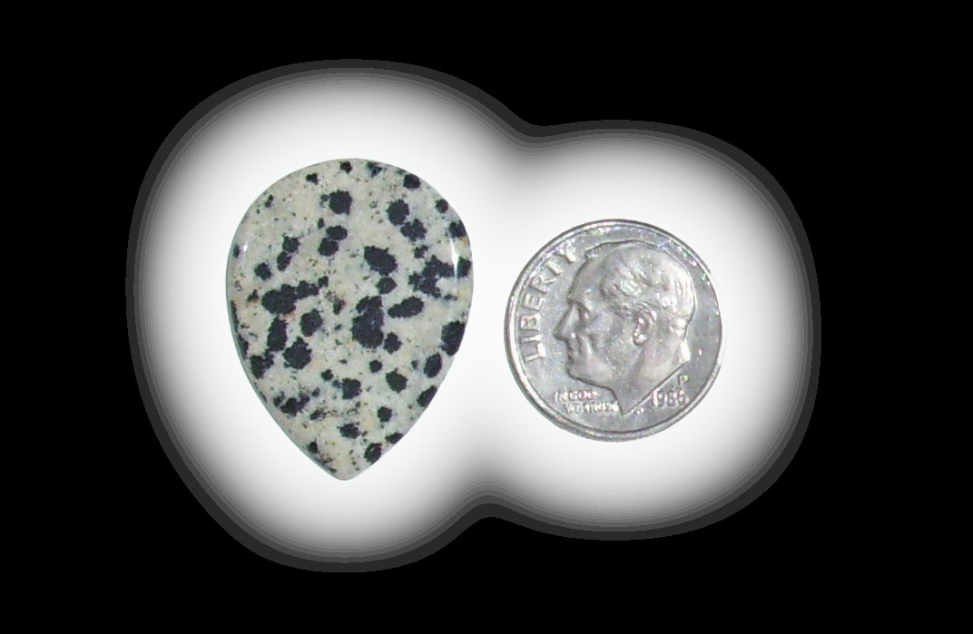 TR6110 Dalmatian Jasper