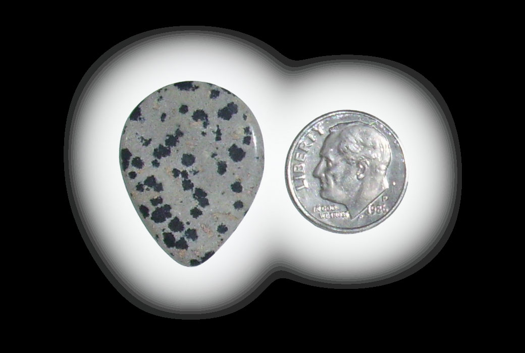 TR6111 Dalmatian Jasper