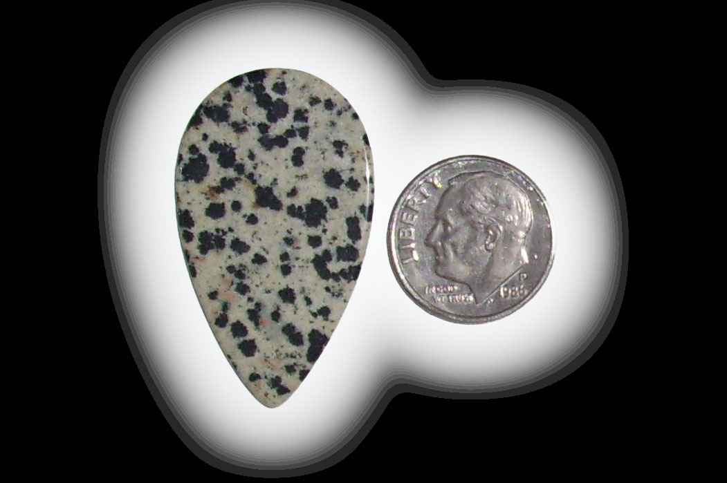 TR6112 Dalmatian Jasper