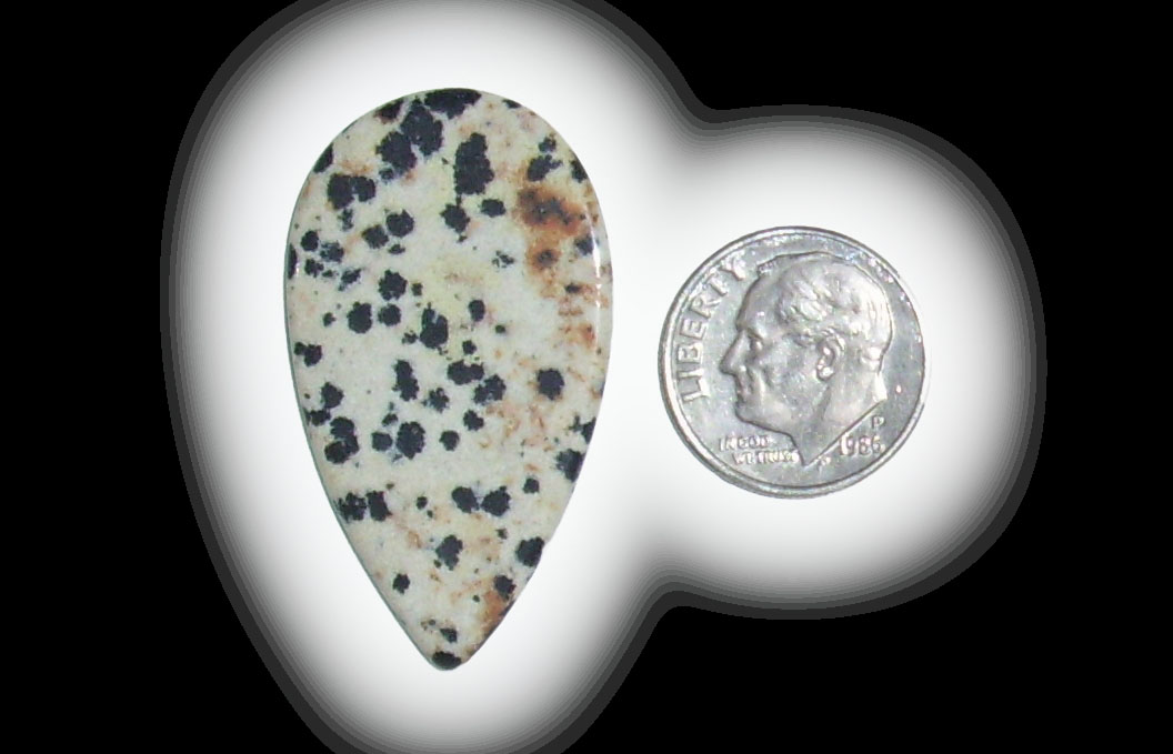 TR6113 Dalmatian Jasper