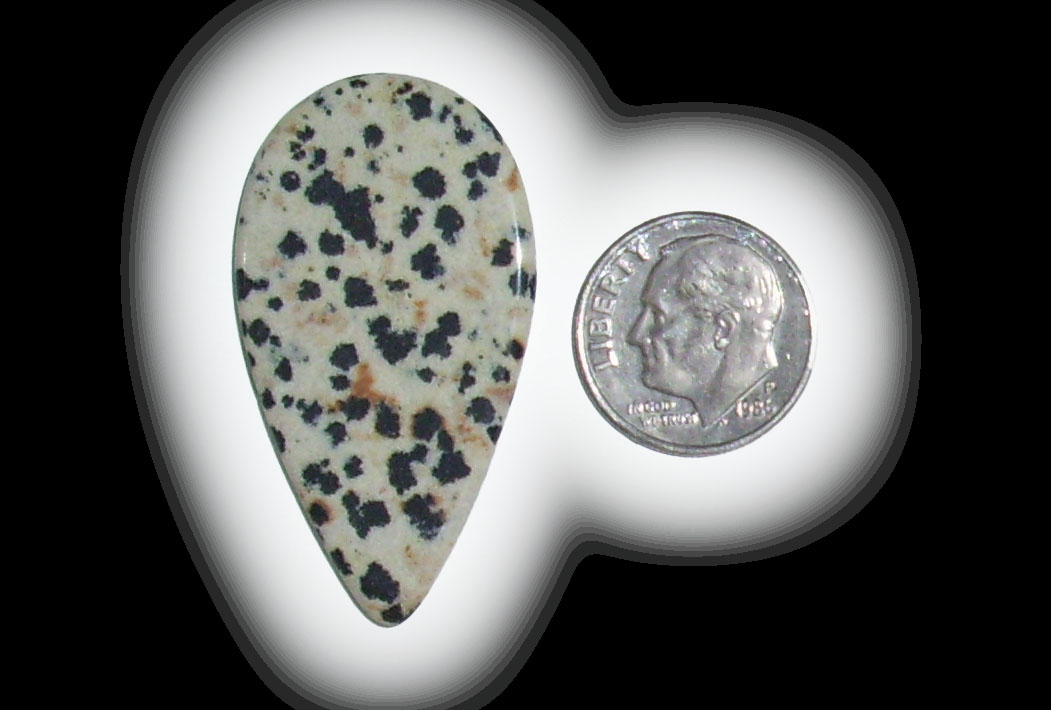 TR6114 Dalmatian Jasper